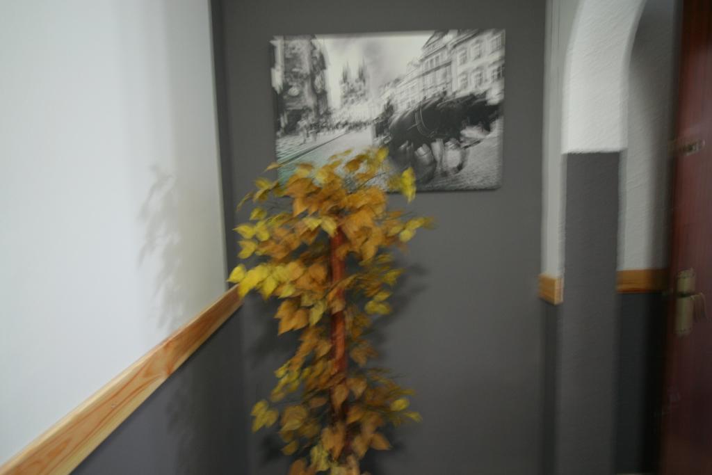 Hostal Restaurante Avenida De Madrid Terrassa Luaran gambar